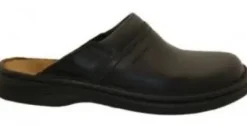 Seibel- Max 10663